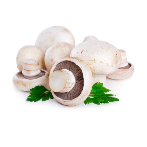 manitaria aspra 3044 ΜΑΝΙΤΑΡΙ ΛΕΥΚΑ ΤΕΜ BIO 3044