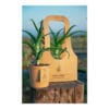 Plant ΒΙΟ Aloe Arborescens 25-30cm